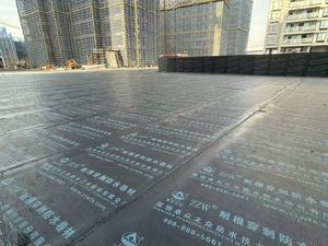 แผ่นกันซึมแอสฟัลต์แบบมีกาวในตัว ทนทานต่อรากไม้ ป้องกันรากไม้เข้าได้อย่างดีเยี่ยม เหมาะสำหรับงานปลูกต้นไม้บน<span class=keywords><strong>หลังคา</strong></span> ห้องใต้ดิน และบ่อ - Product Image 6