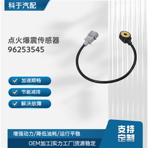 Capteur de cliquetis d'allumage 96253545 7517360 4805506 pour remplacement automobile, usage OEM - Product Image 5