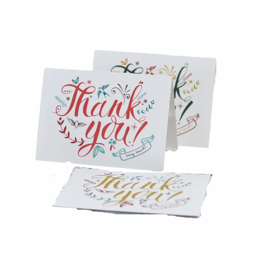 Nota en blanco personalizada Gracias Tarjetas de felicitación a granel con sobres Caja Set 6 Diseños de pájaros rústicos coloridos