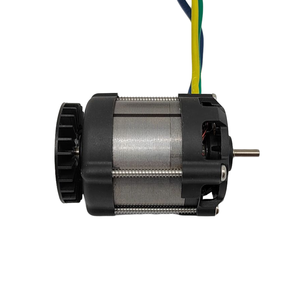 มอเตอร์เจาะไฟฟ้าขนาดเล็กสำหรับโดรนสกู๊ตเตอร์พร้อมตัวควบคุมความเร็ว80W 100W 200W 300W ของเล่น - Product Image 5