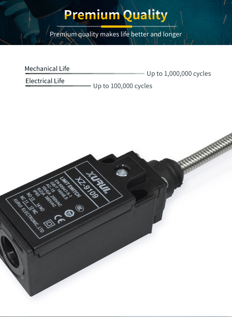 XURUI XZ9109 Enclosed Limit Switch 10A with Coil Spring Actuator