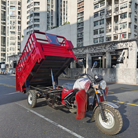Nieuwe hoogwaardige 200cc benzine aangedreven vracht-driewieler met meer dan 1000W vermogen, open laadbak, kiepfunctie, 400kg laadvermogen voor landbouw en stedelijk transport