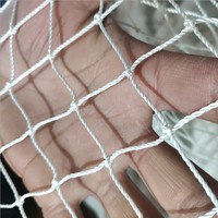 Filet de pêche en nylon ou polyester tressé blanc de haute qualité 210D/36ply 1.5cm de longueur latérale