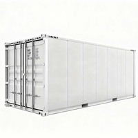 Usine de plantes hydroponiques en conteneur Skyplant 40ft avec système NFT Ferme de culture automatique avec pompe et PVC