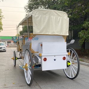 Carroza eléctrica turística blanca personalizada de fábrica, tipo familiar extendida con toldo, ideal para complejos turísticos - Product Image 6