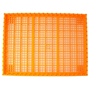 ลังขนส่งสัตว์ปีก <span class=keywords><strong>กรง</strong></span>ขนส่งพลาสติกแบบพับได้สําหรับไก่ - Product Image 5