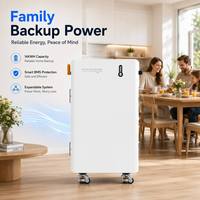 Batería de bajo voltaje Novoage 6000 ciclos compatible con inversor, montada en pared, 51.2V 314Ah LiFePO4 para uso solar doméstico, Libra 16H 200A
