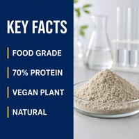 Poudre de protéines de graines de chanvre naturelle 70% Protéines végétales végétaliennes de qualité alimentaire Supplément en vrac