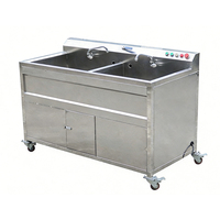 Automatische enkel- en dubbelcilinder ultrasoon bubbelreiniger voor fruitpuree, bladgroenten en reinigingsmachine