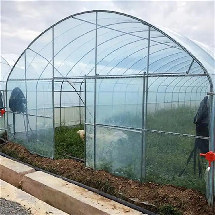 Sistema hidropónico de plástico para invernadero, invernaderos agrícolas con sistema de riego por goteo para plantación de tomate, nuevo