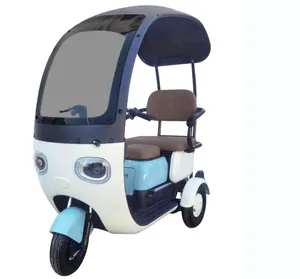 Мобильный электромобиль для пожилых людей/отключить/моторизованный трехколесный велосипед/Электрический рикша