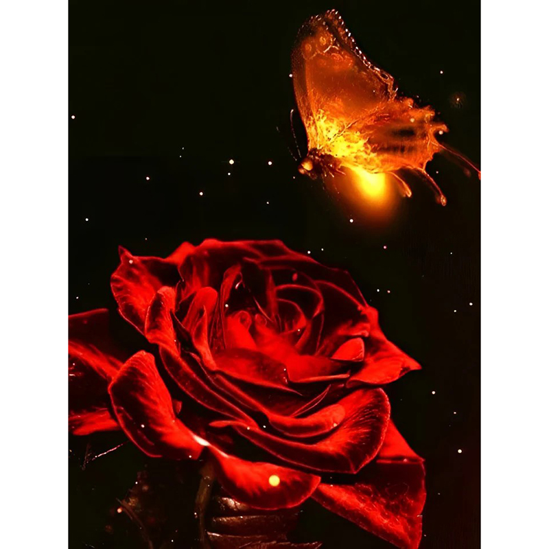 Rose rouge et papillon