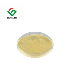 Chất lượng cao Mướp Đắng Chiết xuất bột polypeptide-k 75% 85% chăm sóc sức khỏe dinh dưỡng supplyment nhà máy sản xuất - Product Image 4