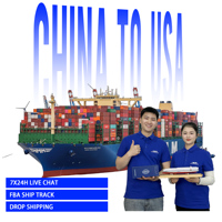 Transitaire de fret Chine-Néerlandes, service d'expédition DDP