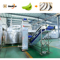 Industriële Weegbree Stoomschilmachine Voor Bananenverwerkingslijn Bananenstoomschiller