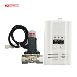 Werkseitig montierter 12V / 220V LPG Gasleck detektor Preis Küche Kochgas detektor