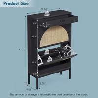 Porte d'entrée de luxe en rotin porte rabattable Ultra mince mince pliant pliable basculant porte armoire à chaussures étagère de rangement avec un tiroir