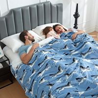 Couverture de lit occidentale personnalisée en usine, taille Queen, hiver, tissée, de luxe, imprimée, simple couche, en polaire pelucheuse, 100% polyester, lavable en machine