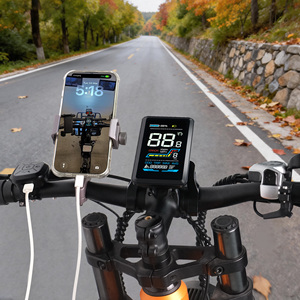 Pantalla LCD a color <span class=keywords><strong>VA</strong></span> <span class=keywords><strong>de</strong></span> pantalla completa para bicicleta eléctrica Yolin Wholesale YL91F-V, 36V 48V 52V 4.0 pulgadas, IP65, resistente al agua. - Product Image 4