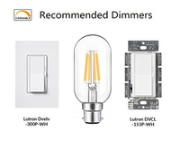 Ampoule à filament LED tubulaire de haute qualité T45 4W B22 LED ampoules Edison lampe décorative industrielle à intensité variable 110V/220V CE PSE ROHS