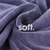 Séchage rapide microfibre serviette de plage pour chiens
