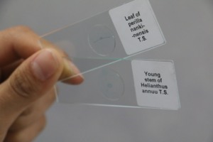 La migliore vendita diapositive 25pcs di vetro microscopio vetrini per educativi kit di formazione - Product Image 6