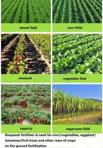 Aplicador de Fertilizante Agrícola Eléctrico Automático, Eficiente, Ahorra Trabajo, Portátil - Product Image 6