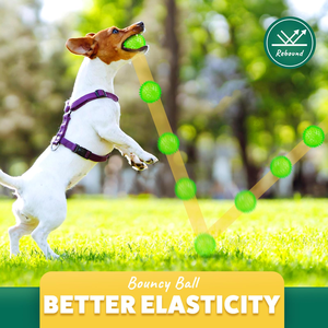 Jouets interactifs de luxe pour chiens, jouets en caoutchouc respectueux de l'environnement qui couinent pour les chiens - Product Image 5