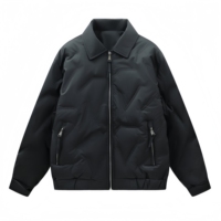 Veste d'hiver décontractée pour homme, personnalisable avec logo, imperméable et chaude, à fermeture éclair, en duvet de canard épais, vente en gros
