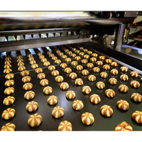 Machine à biscuits double couleur BNT-700E, équipement de boulangerie industriel multifonctionnel pour biscuits fourrés, pour usine de biscuits