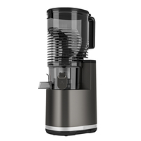 Extracteur de jus lent commercial personnalisé de 250 W, puissant, à grande ouverture de 6,57 pouces, sans filtre