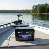 Batterie LiFePO4 à semi-conducteurs TNE pour bateaux à moteur, camping-cars, caravanes, remorques, 24V 50Ah 100Ah, Bluetooth, application mobile, 6000 cycles