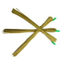 Tête d'allumage électronique jaune-vert de 5 m avec effet de flamme, télécommande, certifiée CE, OEM ODM, longueur personnalisable