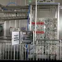 Machine automatique de découpe des pattes de volaille en acier inoxydable, équipement de séparation des cuisses de poulet de haute précision