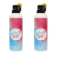 Vente en gros 300g sexe révéler extincteur pulvérisation garçon ou fille sexe révéler fête poudre fumée bombe vaporisateur biodégradable