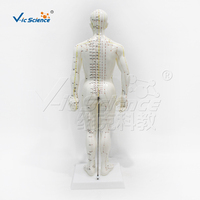 Modelo de Cuerpo Humano con Meridianos y Puntos de Acupuntura Grabados, Súper Transparente, Blanco, para Enseñanza de Acupuntura y TCM