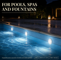 Projecteur de piscine PAR56, corps en verre, IP68, AC/DC 12V 24V, dimmable, pour piscine de complexe hôtelier, décoration aquatique, aquaparc, terrasse sur le toit