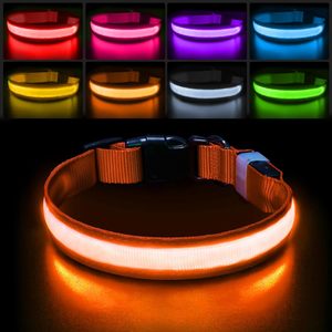 Collar de Nailon de Lujo con Luces LED para Perros, Collar Luminoso de Seguridad Nocturna, Correa para Mascotas con Patrón Sólido, Luces Fluorescentes Luminosas - Product Image 1