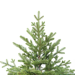 Árbol <span class=keywords><strong>de</strong></span> <span class=keywords><strong>Navidad</strong></span> Premium <span class=keywords><strong>de</strong></span> Alta Calidad <span class=keywords><strong>de</strong></span> 240 cm (8 pies), Grande y Abundante, 100% <span class=keywords><strong>de</strong></span> Polietileno, Sin Mal Olor, con Base Giratoria - Product Image 3