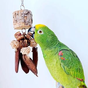 Hot Bán Bán Buôn Chim Nhai Đồ Chơi Treo Con Vẹt Đồ Chơi Gỗ Tự Nhiên Ngô Ngô Chim Chew Đồ Chơi - Product Image 5