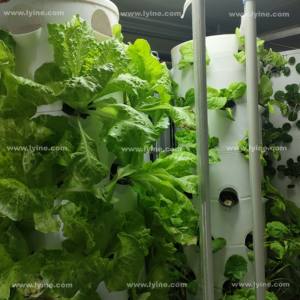 Fai da te idroponica agricoltura torre verticale sistema di irrigazione torre aeroponica giardino <span class=keywords><strong>per</strong></span> la famiglia piantare frutta verdura - Product Image 6