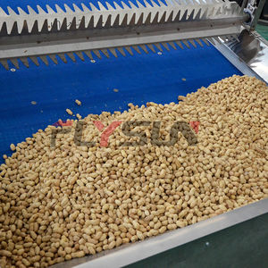 Flysun Industrial Automatic Food Processing Mesh Belt Drying Machine with 304 Stainless Steel High Efficiency - Product Image 3