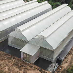 Serra idroponica tropicale con tetto a ombrello e ventilazione, serra multispan per clima tropicale, serra a tunnel 4 stagioni - Product Image 3