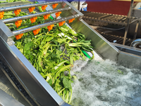 Hogedruk Luchtbel Groentetomaten Wortelwasmachine Fruit Ananas Schoonmaken Paddenstoel Drogen Aardbei Wasmachine