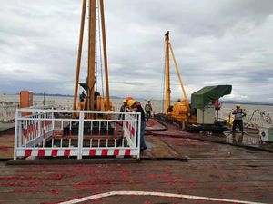 Nouveau poinçonneur à piliers CH avec marteau moteur, chute libre, couple de charge élevé, certifié ISO9001, efficacité de 98% - Product Image 3