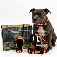 Collier intelligent pour chien avec suivi GPS en temps réel et interconnexion portable (appairage IMEI, mises à jour en 3 secondes)