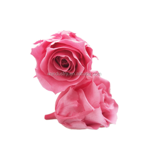 <span class=keywords><strong>Rosas</strong></span> <span class=keywords><strong>Preservadas</strong></span> <span class=keywords><strong>Mini</strong></span> al por Mayor de Fábrica de Kunming, <span class=keywords><strong>Rosas</strong></span> Eternas de Larga Duración Hechas con Flores Reales para el Día de San Valentín - Product Image 2