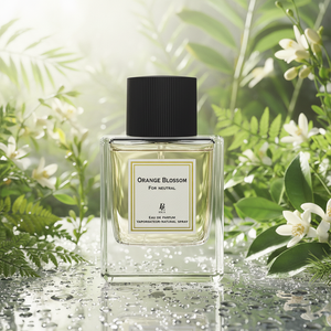 BILA Parfum liquide pour femme, best-seller transfrontalier, diffusion en direct, senteur longue durée, rose, bois d'agar, ébène - Product Image 1