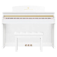 Piano droit numérique Terence E50 avec son authentique finition en palissandre foncé Caractéristiques d'action du marteau similaires au piano à queue