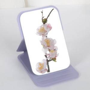 <span class=keywords><strong>Specchio</strong></span> portatile portatile per il trucco pieghevole per studenti compatti in tinta unita semplice tinta unita carino <span class=keywords><strong>specchio</strong></span> tascabile - Product Image 3